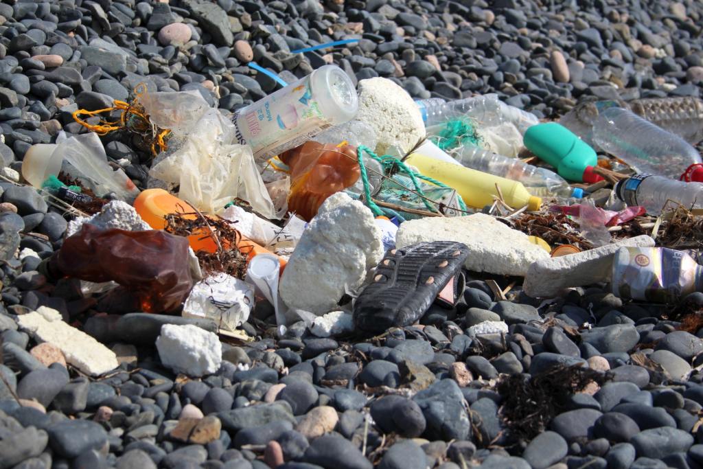 Пластик на берегу Японского моря
