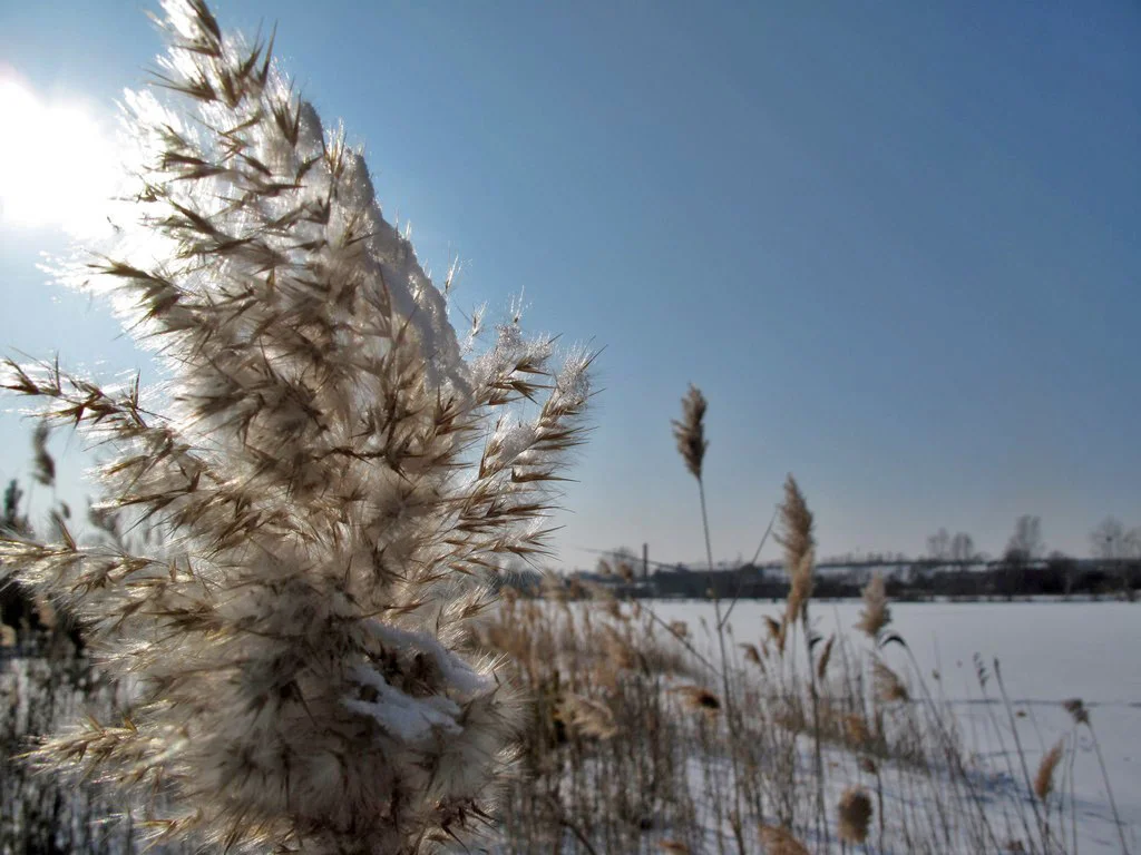 Зима на озере. Райчихинск