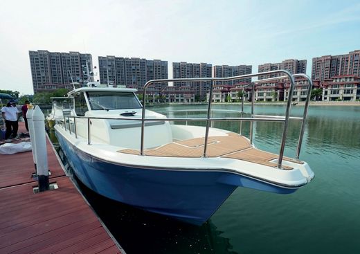 Катер AVANRAID F410 BigFish