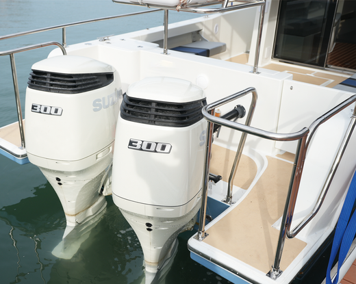 Катер AVANRAID F410 BigFish