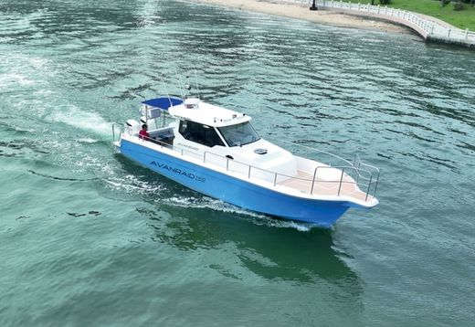 Катер AVANRAID F410 BigFish