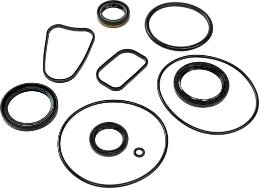 Комплект прокладок Volvo Penta FWD, Recmar