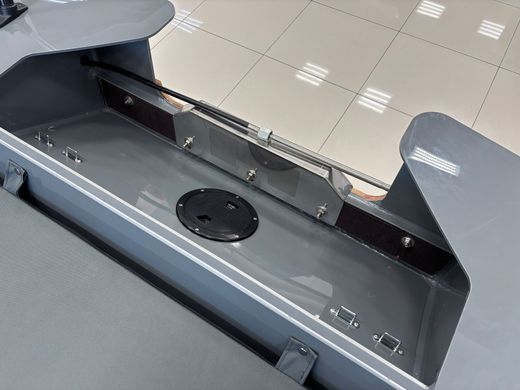 Моторная лодка Swimmer 450 R с Marine Rocket MR25FFES