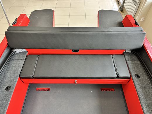 Моторная лодка, Триера 490 FISH, красный