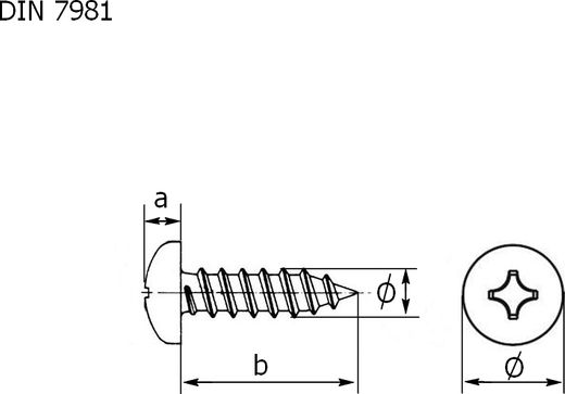 Саморез с полукруглой головкой и крестообразным шлицем А4 DIN7981 5,5х16 упаковка 1/10