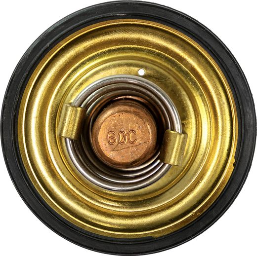 Термостат Volvo Penta 60c MD6-7A, Recmar