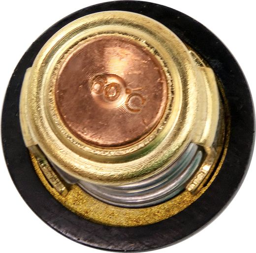 Термостат Yamaha 8-9.9, Omax