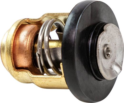 Термостат Yamaha 8-9.9, Omax