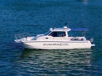 Катер AVANRAID F360 Mako