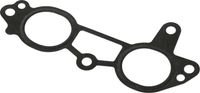 Прокладка впускного коллектора Marine Rocket (F25-01.03.00.14)