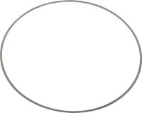 Шайба регулировочная (0.1) Marine Rocket (F130-06.00.00.31)