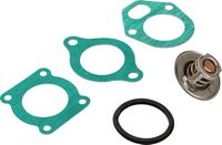 Термостат с прокладкой Volvo Penta 62C, Recmar